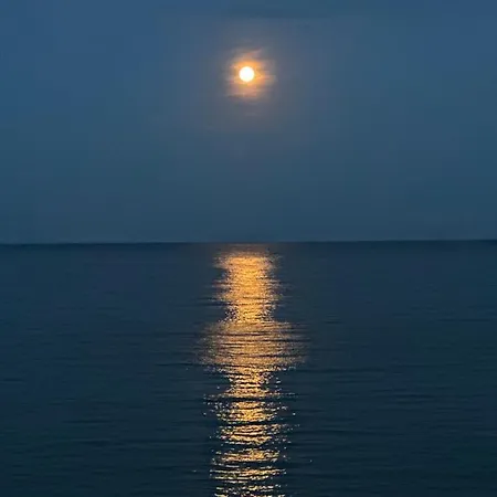 Oazis Sea View * رافدا